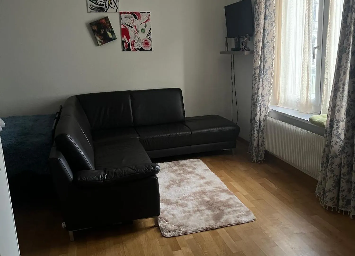 Cozy Apartment Zurich